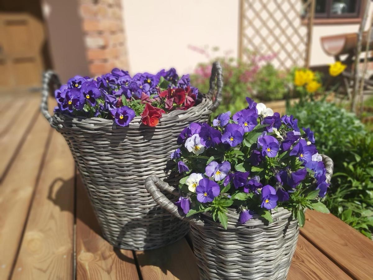 Swojski Gosciniec Prażmowo Exterior foto