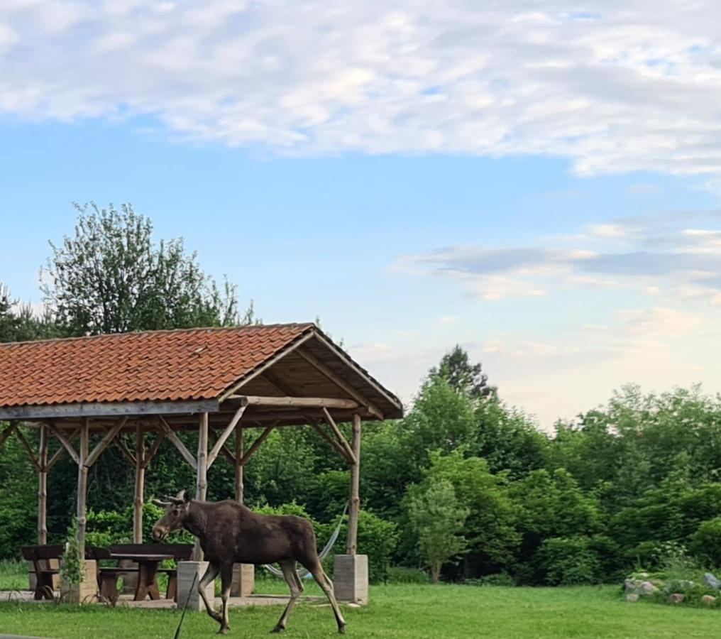 Swojski Gosciniec Prażmowo Exterior foto